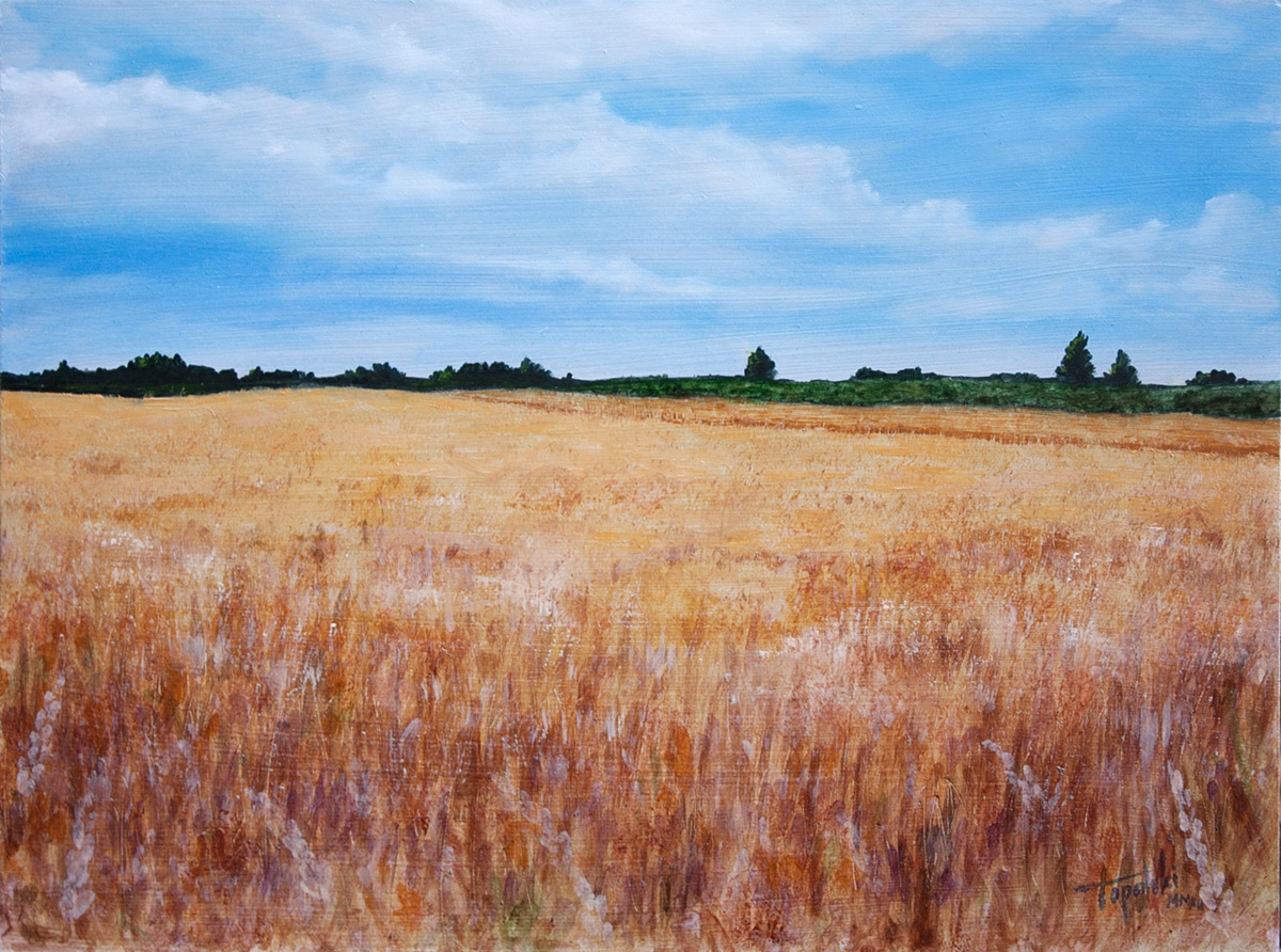 Wheat Fields Oil Painting Fine Arts Gallery Original Fine Art Oil