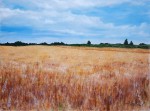 Wheat Fields - Oil Painting - Fine Arts Gallery - Original fine Art Oil ...