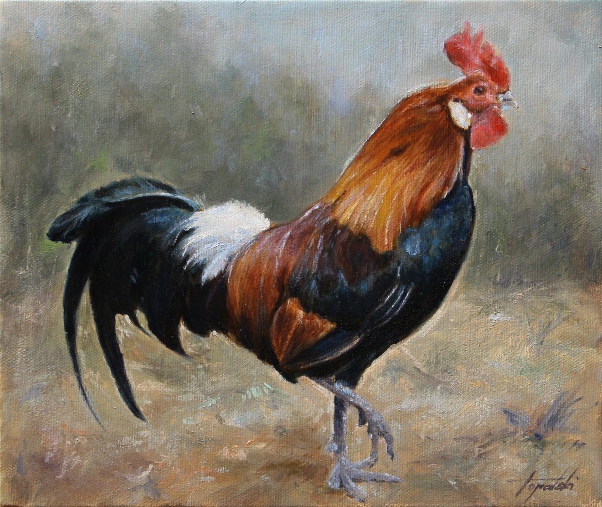 Rooster - Commissioned Animal Oil painting - Fine Arts Gallery 